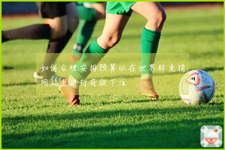 如何合理安排预算以在世界杯竞猜网站上进行有效下注