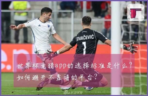 世界杯竞猜app的选择标准是什么？如何避开不靠谱的平台？