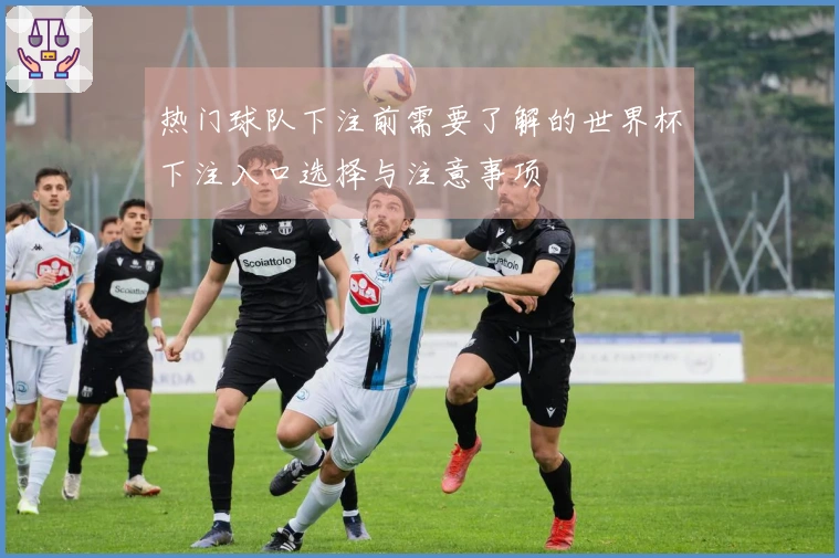 热门球队下注前需要了解的世界杯下注入口选择与注意事项