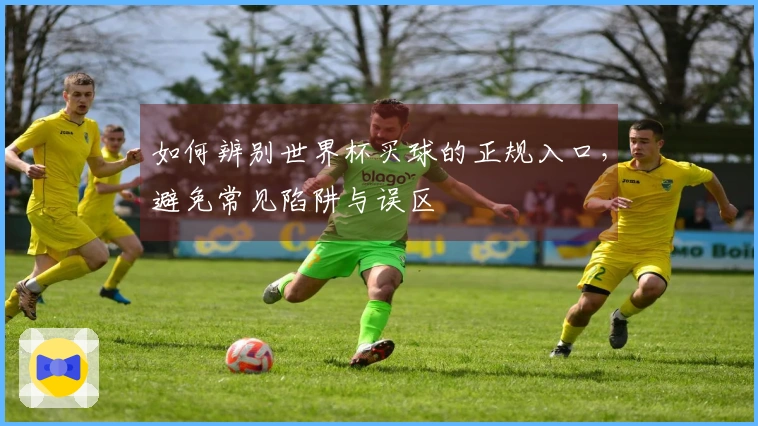 如何辨别世界杯买球的正规入口,避免常见陷阱与误区