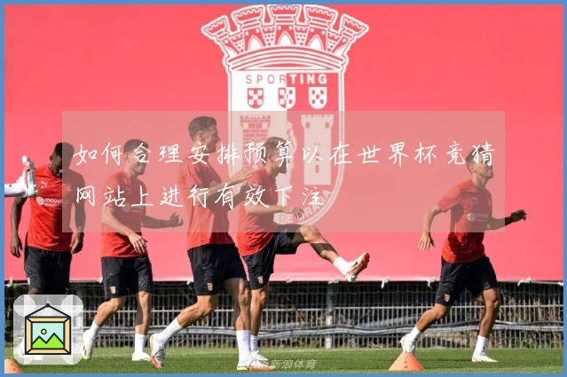 如何合理安排预算以在世界杯竞猜网站上进行有效下注