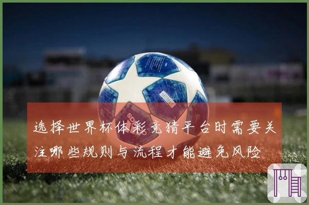 选择世界杯体彩竞猜平台时需要关注哪些规则与流程才能避免风险