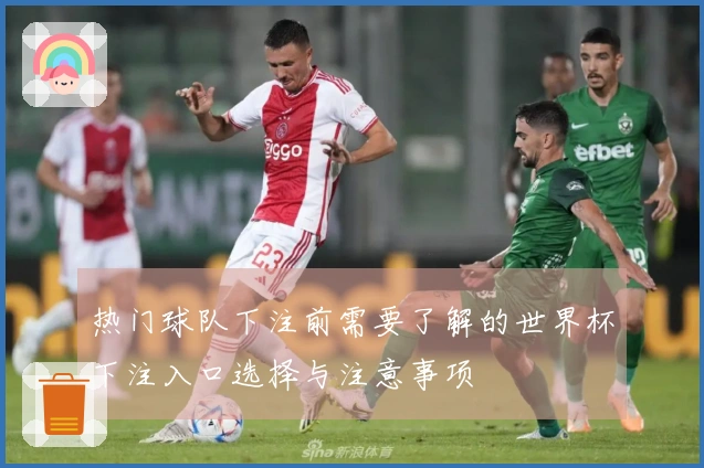 热门球队下注前需要了解的世界杯下注入口选择与注意事项