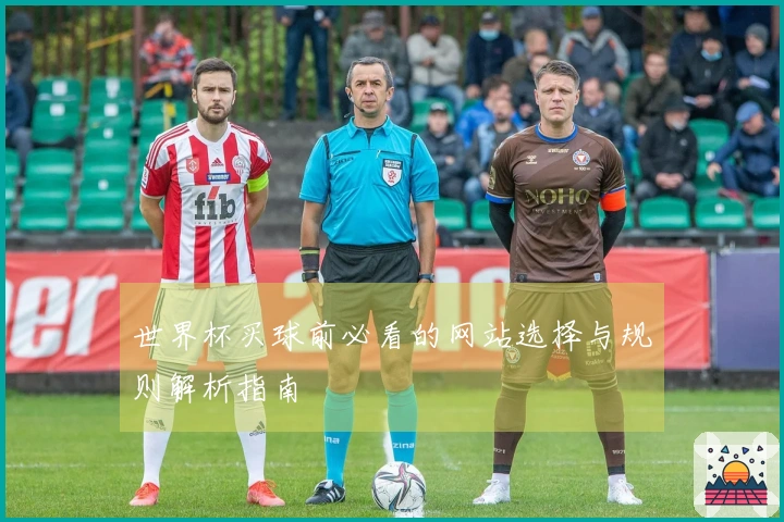 世界杯买球前必看的网站选择与规则解析指南