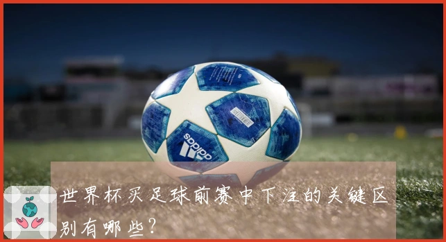 世界杯买足球前赛中下注的关键区别有哪些?