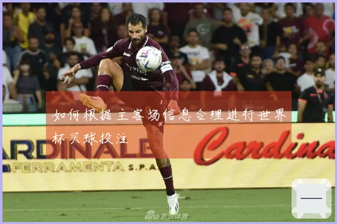 如何根据主客场信息合理进行世界杯买球投注