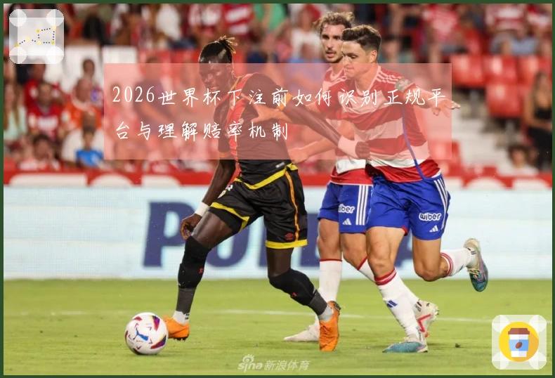 2026世界杯下注前如何识别正规平台与理解赔率机制