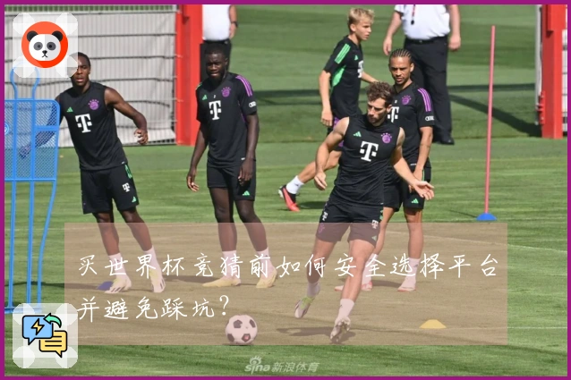 买世界杯竞猜前如何安全选择平台并避免踩坑？