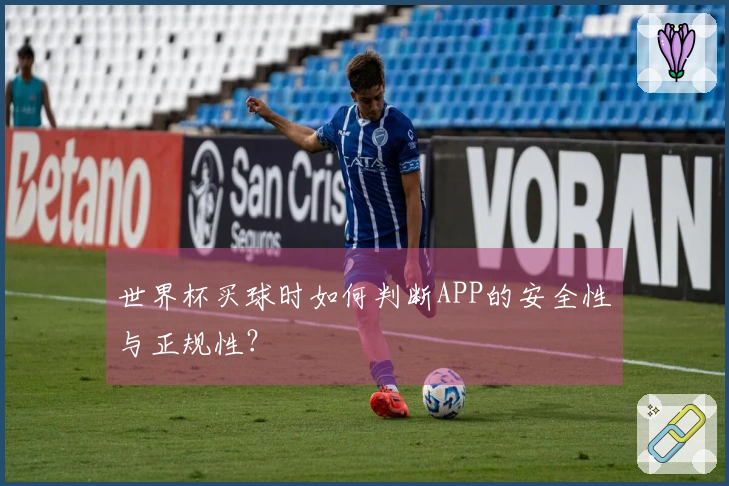 世界杯买球时如何判断APP的安全性与正规性？
