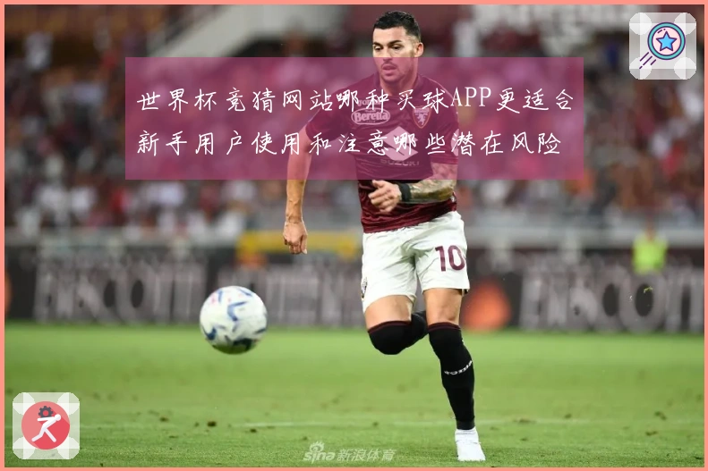 世界杯竞猜网站哪种买球APP更适合新手用户使用和注意哪些潜在风险