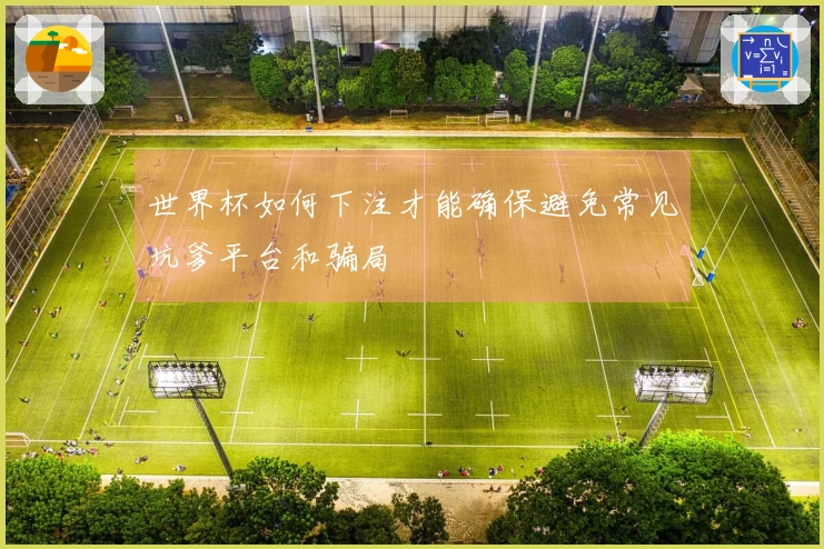 世界杯如何下注才能确保避免常见坑爹平台和骗局