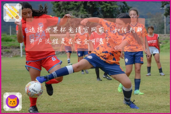 选择世界杯竞猜官网前，如何判断开户流程是否安全可靠？