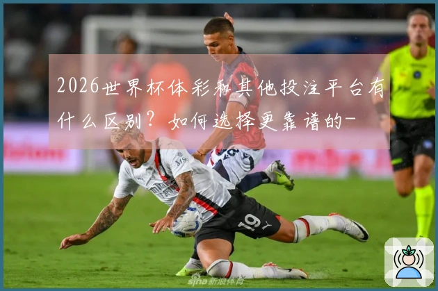 2026世界杯体彩和其他投注平台有什么区别？如何选择更靠谱的-