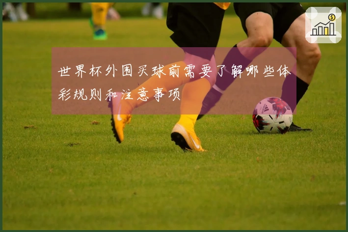 世界杯外围买球前需要了解哪些体彩规则和注意事项