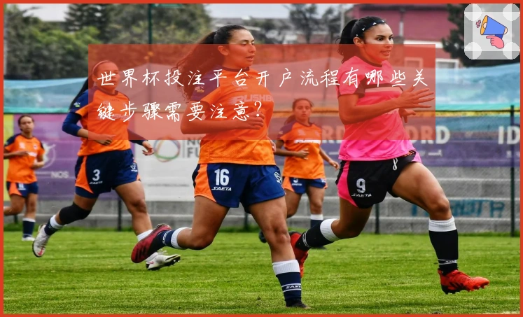 世界杯投注平台开户流程有哪些关键步骤需要注意？