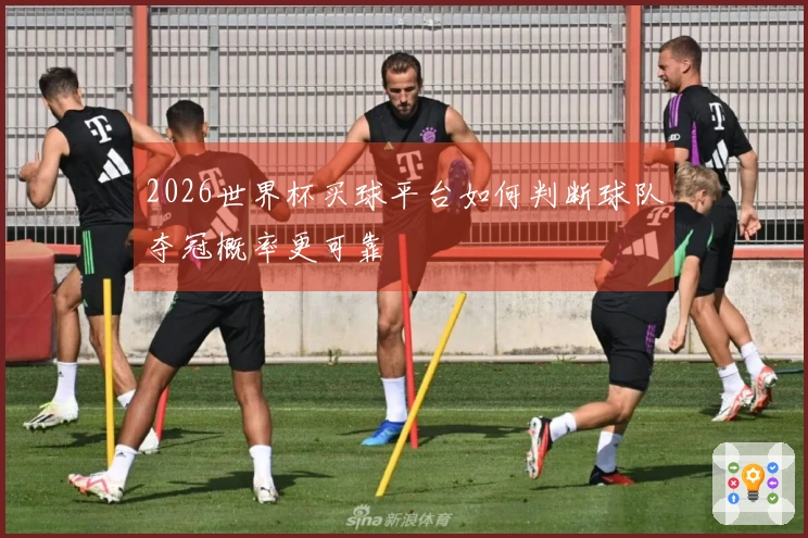 2026世界杯买球平台如何判断球队夺冠概率更可靠