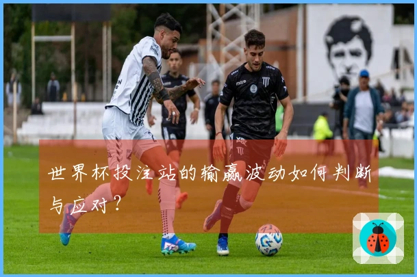 世界杯投注站的输赢波动如何判断与应对？