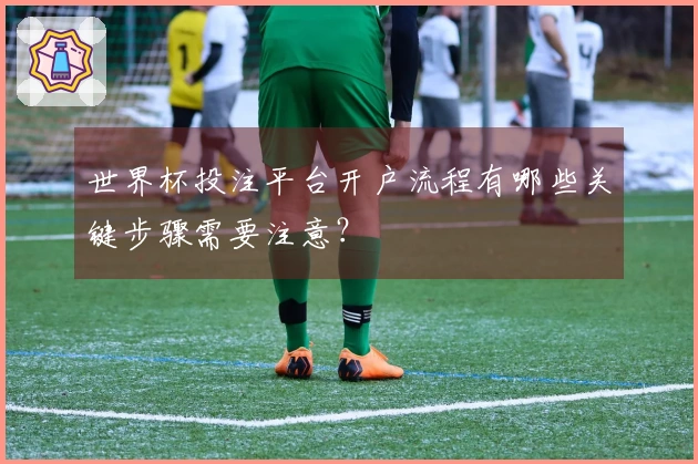 世界杯投注平台开户流程有哪些关键步骤需要注意?