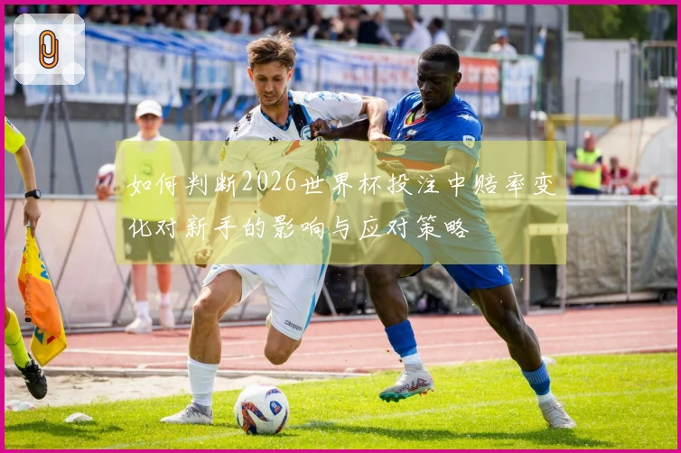 如何判断2026世界杯投注中赔率变化对新手的影响与应对策略