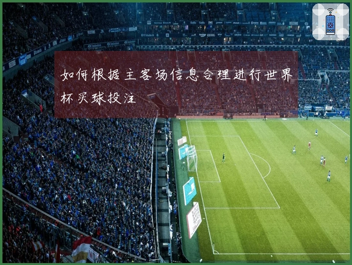 如何根据主客场信息合理进行世界杯买球投注