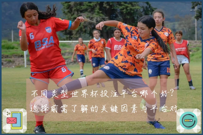 不同类型世界杯投注平台哪个好?选择前需了解的关键因素与平台对比指南