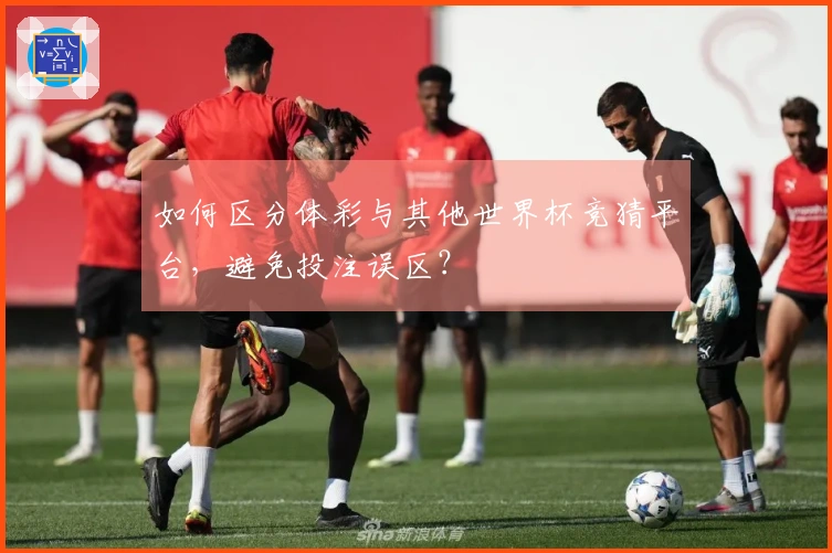 如何区分体彩与其他世界杯竞猜平台，避免投注误区？