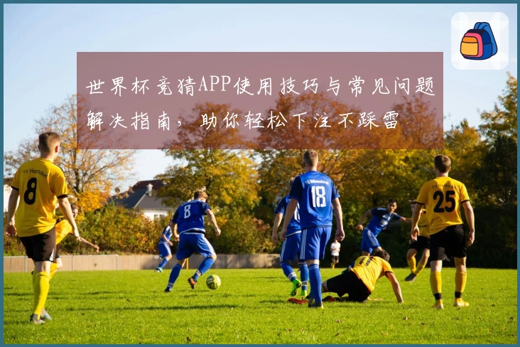 世界杯竞猜APP使用技巧与常见问题解决指南，助你轻松下注不踩雷